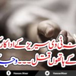famous, tv, serial, actress, murdered, by, her, son
