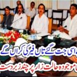 if, we, win, in, election, 2018, what, will, we, do, says,Jehangir Khan, Tareen, in, once, party, meeting