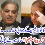 shehbaz sharief, wrote, a, letter, to, Nawaz Shareif, hamid mir, revealed, the, facts, of, letter