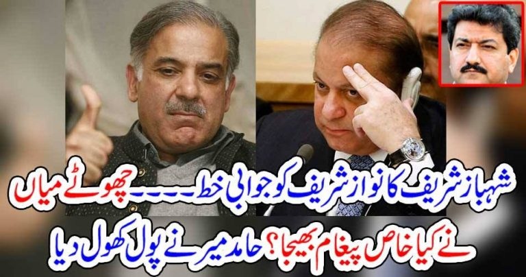 shehbaz sharief, wrote, a, letter, to, Nawaz Shareif, hamid mir, revealed, the, facts, of, letter
