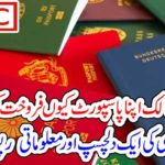 Often, Countries, selling, their, passports, but, why, investigative, journalism