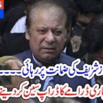 Nawaz Sharief, got, bail, and, drop, seen, of, drama, goes, on,