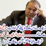 Nawaz Sahreif, looted, country, and, will, be, in, future, also, says, haroon rasheed