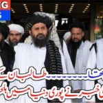 Afghan Taliban, and, china, talks, shooke, the, whole, world