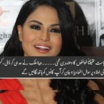 Veena Malik, criticized, on, son, of, Nawaz Shareif, and, whole, Sharief Family