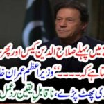 Salah ud Din, case, and, now, Sahilwal, Incident, case, whtas, going, on, in, PTI, Government, hassan niazi blasted