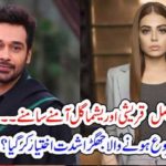 Actor, Faisal Qureshi, and, Actress, Yashma Gul, come, face, to, Face, on, Drama, Serial, Alif