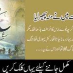 when, in, a, War, Hazrat Ali, A.S. turned, their, face, from, their, enemy, on, asking, they, reply, i, feel, haya, so, i, turned, my, face