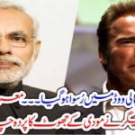 India, got, embarrased, by, Arnold Schwarznegar, he, is, not, visiting, india, now, a, days