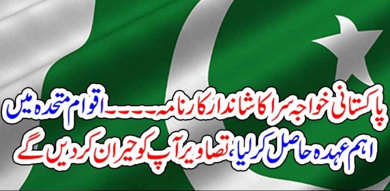 PAKISTANI, SHEMAIL, DONE, GREAT, JOB, TOOK, SEAT, OF, ADVISOR, AT, UN