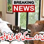 Importante, News, Government, organization, is, ready, to, privatized, imran khan, and, muhammad mian soomroo, decided