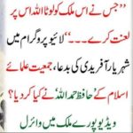 IN, LIVE, PROGRAM, SHEHRYAR AFRIDI, DAMED, MONEY, LOOTERS, OF, PAKISTAN