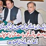 PMLN, DIVIDED, IN, 3, PARTS,