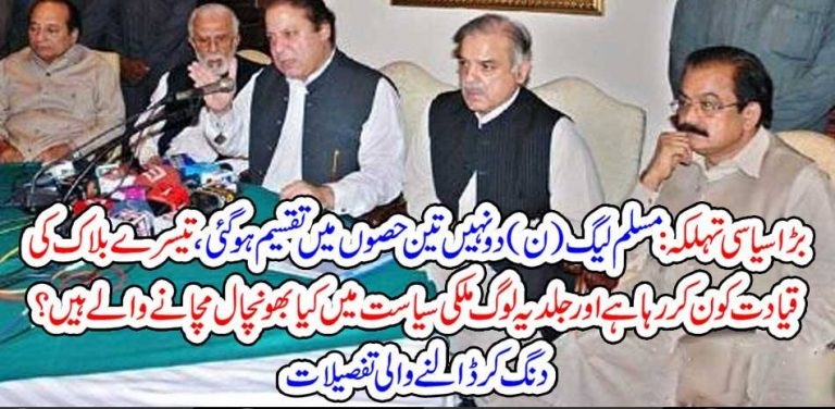 PMLN, DIVIDED, IN, 3, PARTS, 