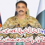 WORSHIPING, RAFEL, JET, DG ISPR, PAKISTAN, CRITIZIED, INDIAN, DEFENCE, MINISTER