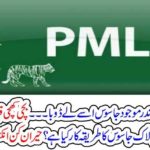 SPY, IN, PMLN, LEAKED, MANY, BAD, THINGS, FROM, PMLN, TO, AGENCIES