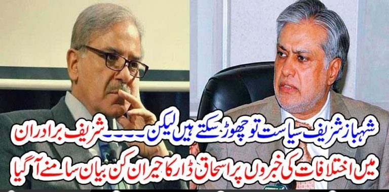 SHEHBAZ SHARIEF, CAN, LEFT, THE, POLITICS, BUT, NOT, NAWAZ SHAREIF, SAYS, ISHAQ DAR