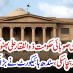 PPP provincial government could not save Zulfiqar Ali Bhutto's land: Sindh High Court