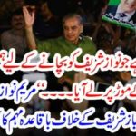 Maryam Nawaz launches regular campaign against Shahbaz Sharif on social media