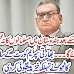 Former Indian Supreme Court judge Mercente Katju makes spurious plea