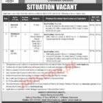 Ministry Of Energy (Petroleum Division) Pakistan Jobs 2019 For 13+ Stenotypists, Assistant And LDC Clerk Staff