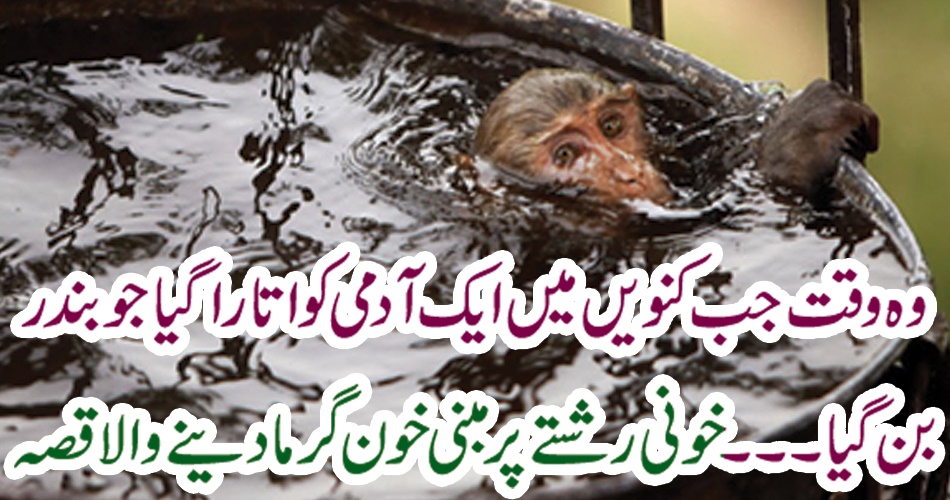 وہ وقت جب کنویں میں ایک آدمی کو اتارا گیا جو بندر بن گیا۔۔۔۔۔ خونی رشتے پر مبنی خون گرما دینے والا قصہ