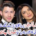 Hottest, News, from, Showbiz, Pariyanka Chopra's, husband, nick jones, got, harrased, by, a, female, fan, on, the, stage