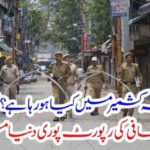 What, is,happening, in, IOK, Kashmir, Indian, Journalists, explored, the, facts, of, brutal, Indian, Army, in, Kashmir