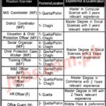 National NGO Jobs 2019 For 28+ Coordinators, Social Organizers, Admin, HR, Officers & Other