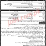 LESCO Jobs 2019 For 903+ Assistant Lineman, Bill Distributors, Junior Engineers And Superintendents (Download NTS Form)