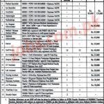 Punjab Social Security Health Management Company (PSSHMC) Jobs 2019 For 45+ Staff Nurses, IT, Medical & Other