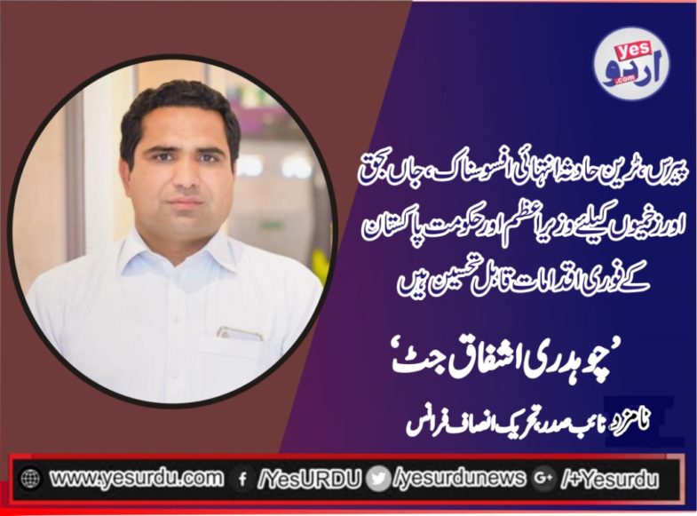 Ashfaq Jutt, Nominated, Vice President, PTI, France