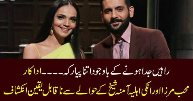 Mohib Mirza, and, amina sheikh, separated, but, they, have, love, with, each, other