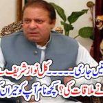 Nawaz Sahreif, started, farewell, meetings, with, family ,and, friends