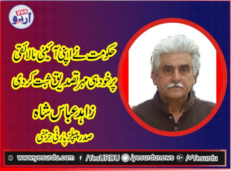 Syed Zahdi Abbas Shah, President, PPP, Germany