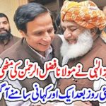Pervez Ilahi, put, something, in, hand, of, Molana Fazal ur rahman, story, revealed