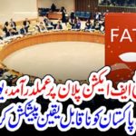 FATF, Action, plan, by, Pakistan, EU, offers, the, great, to. Pakistan, Government