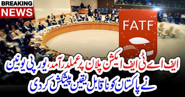 FATF, Action, plan, by, Pakistan, EU, offers, the, great, to. Pakistan, Government