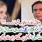 Pervez Ilahi, and, Shehbaz Sharief, wants, to, share, power, in, Federal, and, Punjab, equally