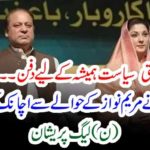 resistant, politics, burried, for, all, Nawaz Sharief, decided, for, Maryam Nawaz