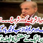 Shehbaz Sharief, era, started, Nawaz Shareif, and, Maryam Nawaz, saying, good, bye, to, politics, PMLN, future, decided
