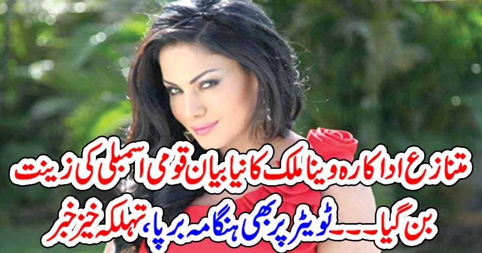 متنازع اداکارہ وینا ملک کا نیا بیان قومی اسمبلی کی زینت بن گیا۔۔۔ ٹویٹر پر بھی ہنگامہ برپا ، تہلکہ خیز خبر