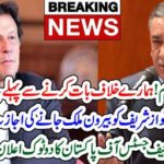 CHIEF JUSTICE, KHOSA, SAYS, GOVERNMENT, SHOULD, THINK BEFORE, SAYING, SOMETHING, AGAINST, US