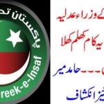 Hamid mir, revaled, the, truth, Government, allegations, on, judiciary,