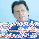 Sohail warraich, column, on, differences, between, Imran Khan, and, Chaudhry brothers, pervez ilahi, and, ch shujaat hussain