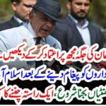 shehbaz shareif, asked, institutions, to, consider, him, instead,of,Imran Khan, he, will, feed,them, fully