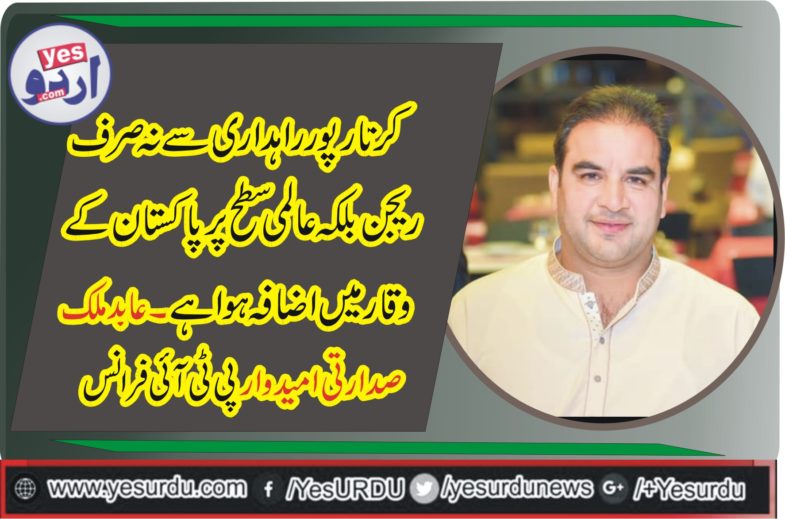 Malik Abid, nominated, as, President, PTI, France