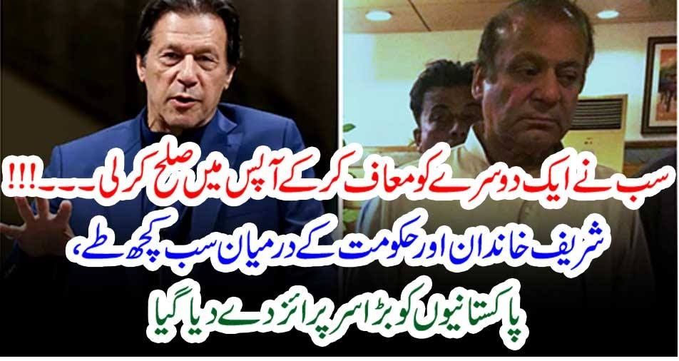 سب نے ایک دوسرے کو معاف کر کے آپس میں صلح کر لی۔۔۔!!! شریف خاندان اور حکومت کے درمیان سب کچھ طے، پاکستانیوں کو بڑا سرپرائز دے دیا گیا