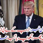KNIFE, ATTACK, ON, DONALD TRUMP, AND, ATTACKER, IS, ARRESTED