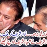 Nawaz and, Shehbaz, Shareif, Planing, to, go, abroad, but, plan, is,hidden